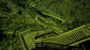 Website Associação de Municípios de Terras de Santa Maria